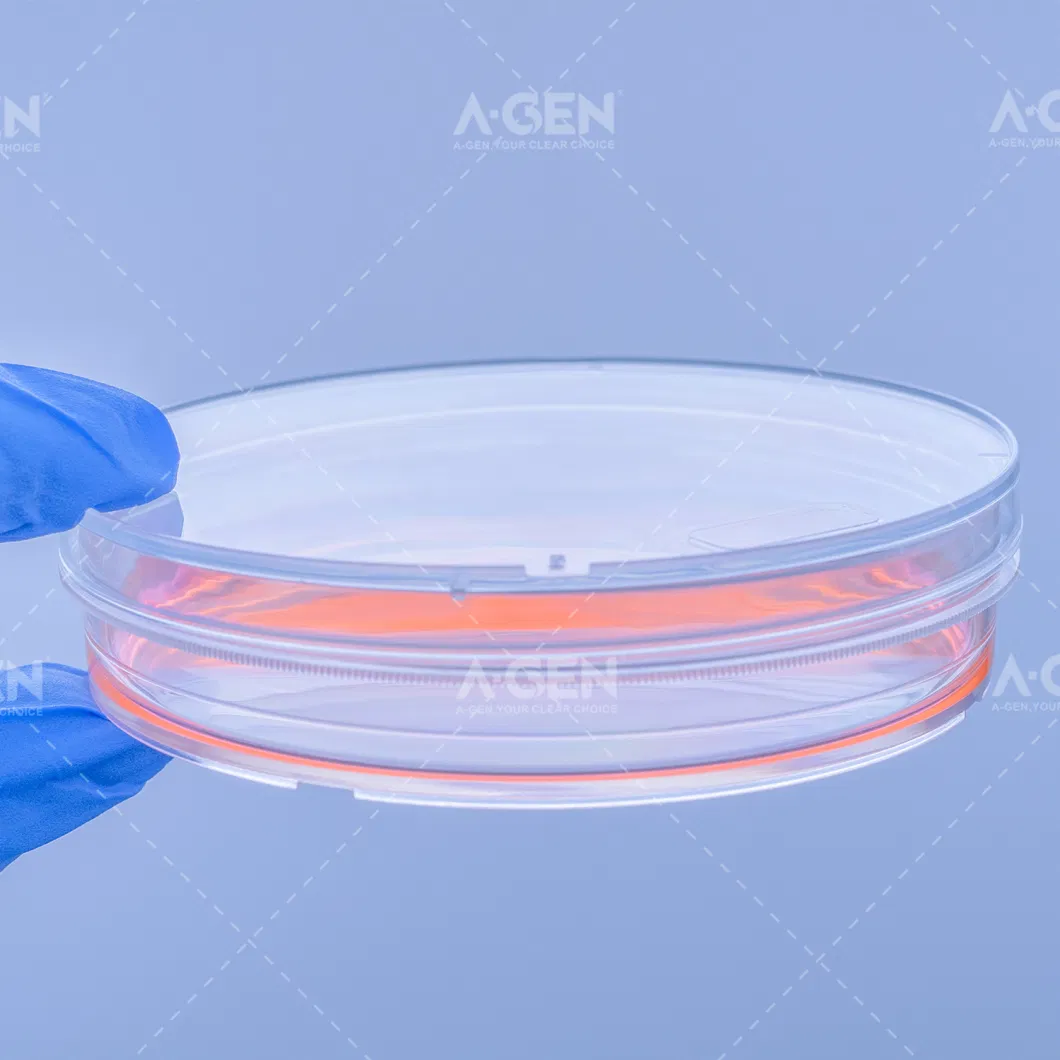 100mm Petri Dish Cell Culture