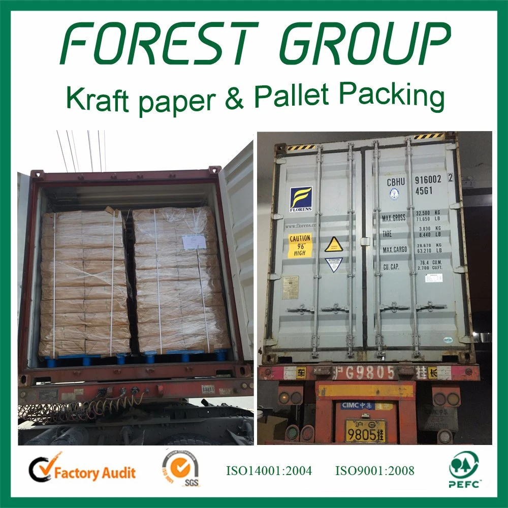 Flexo Printing Corrugated Packaging and Shipping Storage